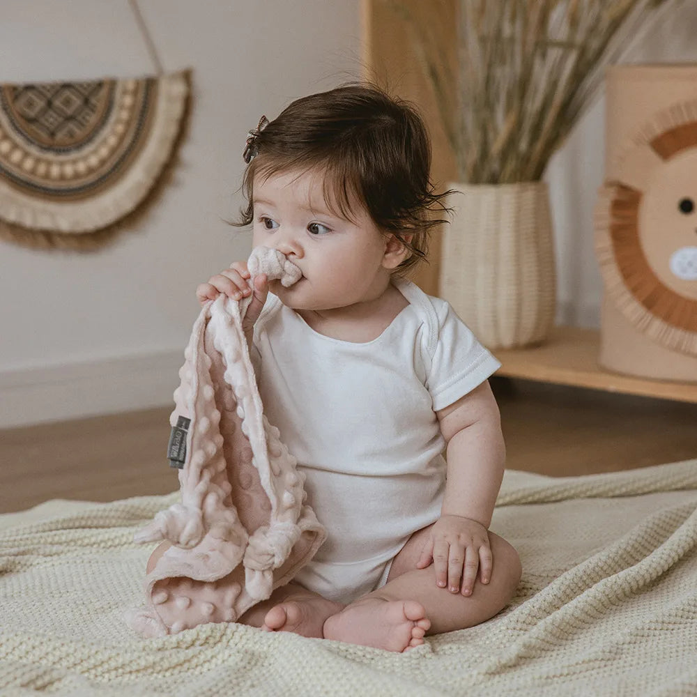 Baby Blanket For Newborn Appease Towel 1Pc Security Blanket Winter Doudou Velvet Soft Infant Facecloth Can Hanging Soother Bunnito