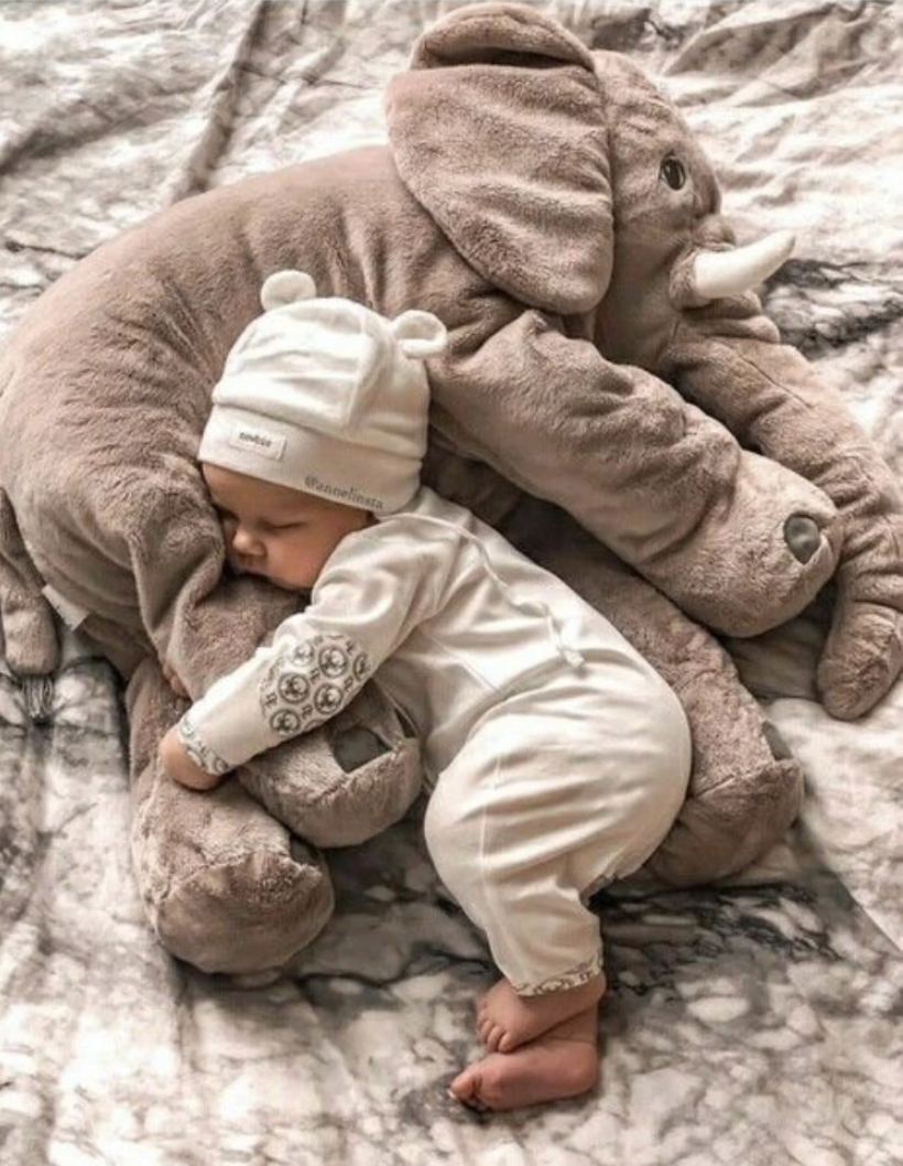 Dreamyphante Bunnito
