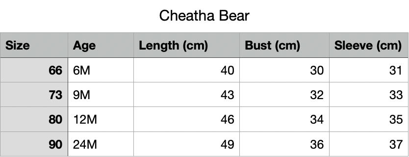 Cheetah Bear Bunnito