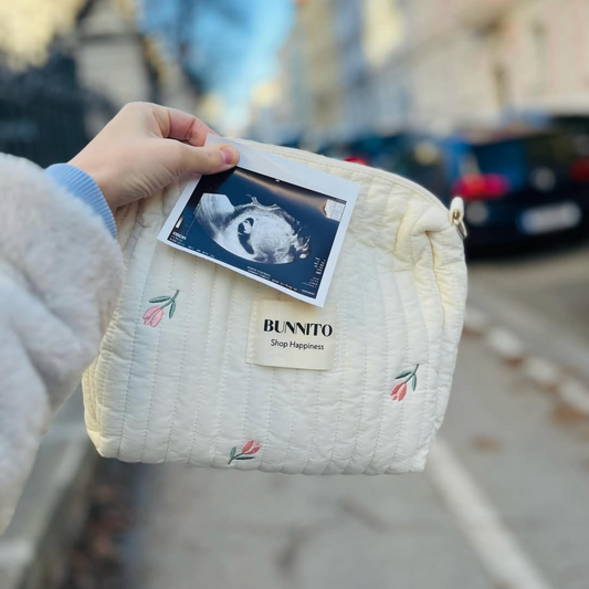 Luxe Mom Bag Organizer Bunnito